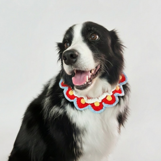 큐앤캐롯 강아지 크리스마스 케이프 대형견 스카프 니트, 1개, 레드