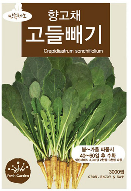 세인화분 고들빼기씨앗 3000립 산나물 나물 채소씨앗, 1개