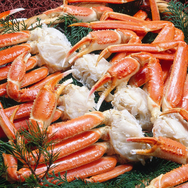 수율 좋은 특A급 특대사이즈 활대게를 자숙! 프리미엄 대게 스노우크랩 5L, 1박스, 5kg