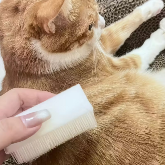 샤인월드 고양이 혀 감각 브러쉬, 1개, 화이트