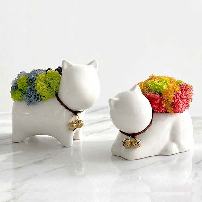 꽃순이 스칸디아모스 인테리어소품 공기정화식물 2색, 1세트