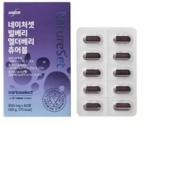 한독 네이처셋 빌베리 엘더베리 츄어블 영양제 60정, 48g, 1개