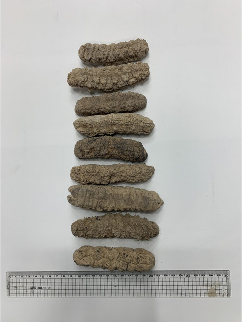 해진보 필리핀 루비해삼 루비 건해삼 통해삼 200g, 1박스, 200