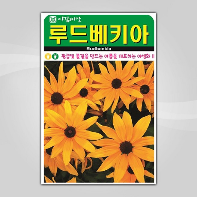 슬로시 야생화 꽃씨앗 루드베키아 1000립, 1개
