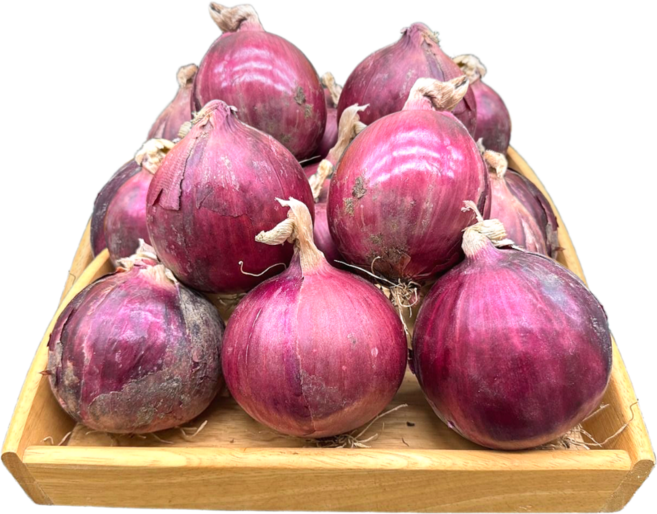 [자연바구니] 국내산 자색양파 적양파 신규입점 1개, 적양파3kg-(소)