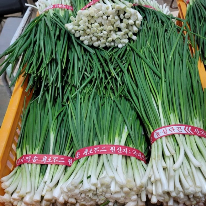 서두르지않으면 품절 [당일 수확&amp;배송] 국내산 깐쪽파1kg 맛있는데에는 이유가잇겟죠, 1개, 1kg