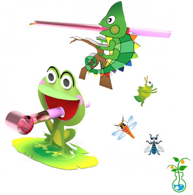 과학실험키트-NEW 카멜레온과 개구리의 먹이사냥 만들기-카멜레온 5인용-diy과학학습키트 만들기키트