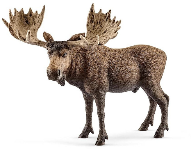 Schleich Wild Life 무스 황소 피규어 - 야생 동물 장난감 피규어 교육을 위한 내구성 남아 및 여아를 상상력 넘치는 놀이 만 3세 이상 아동용 선물, 현재 박스 스타일