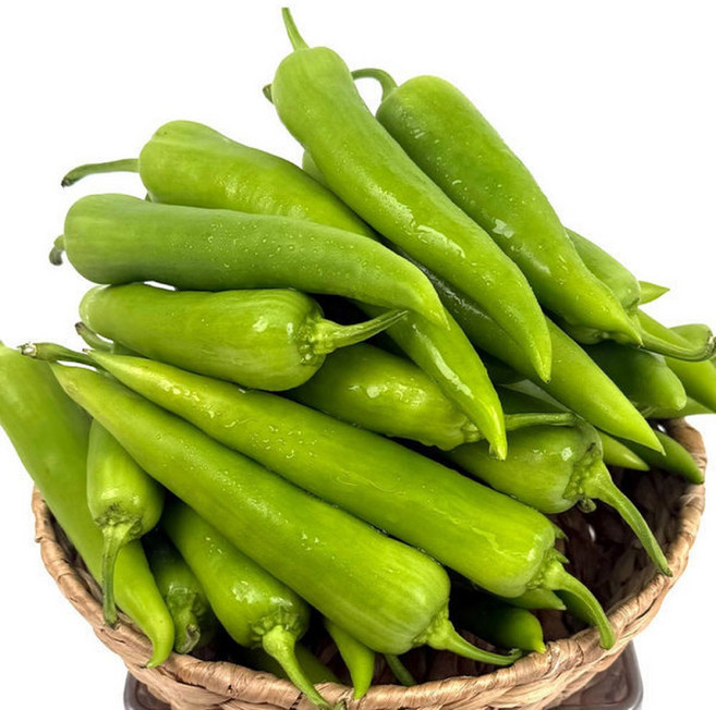 영양 가득 아삭한 당조고추 1kg 혈당 관리 오이고추, 1개