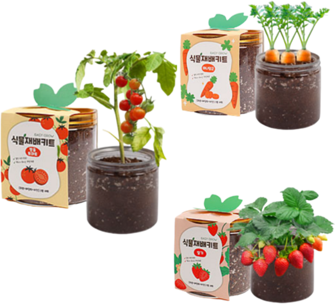 비벨르 식물재배키트 세트 미니텃밭, 방울토마토+딸기+미니당근