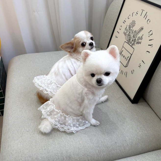 하트 레이스 망사 나시 강아지옷 봄 여름옷 실내복 S