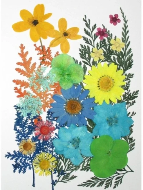 藝采手作 押花花材綜合包 壓花浮游花香氛蠟磚美甲乾燥花材 黃藍混色 約25片, 黃藍 混色