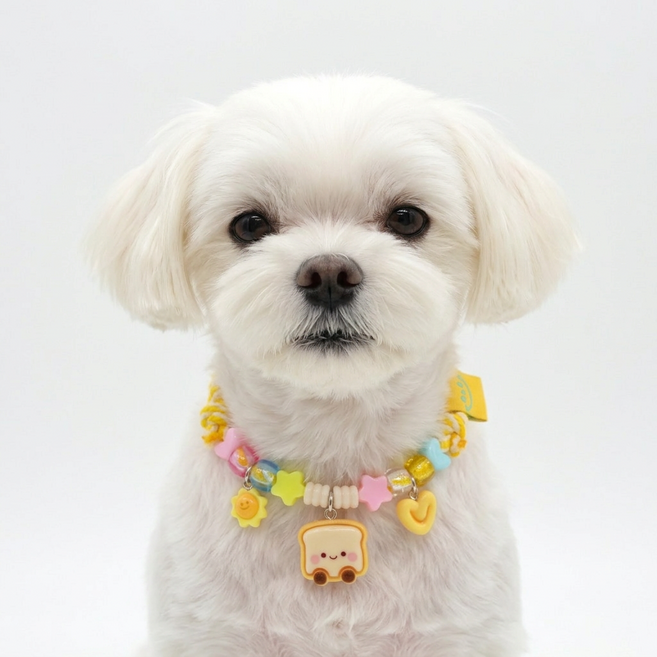 하니펫 강아지 고양이 예쁜 큐티 방울 목걸이, 1개, 식빵