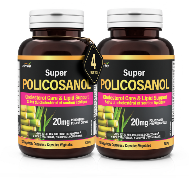폴리코사놀 20mg 120식물성캡슐 옥타코사놀 62.56%함유 슈퍼 Policosanol 허바 캐나다, 2개, 120정