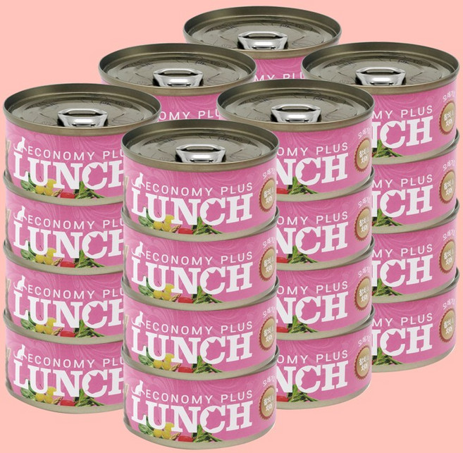 이코너미 런치 고양이캔, 24개, 참치&치어