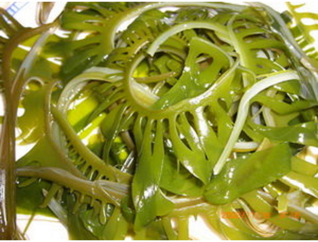 海帶王子 鹽漬海帶睫芽菜, 600g, 1套