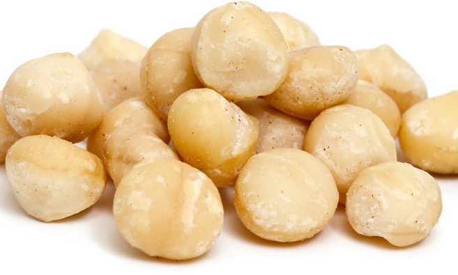 햄스터간식 먹이 무염 마카다미아, 1개, 20g