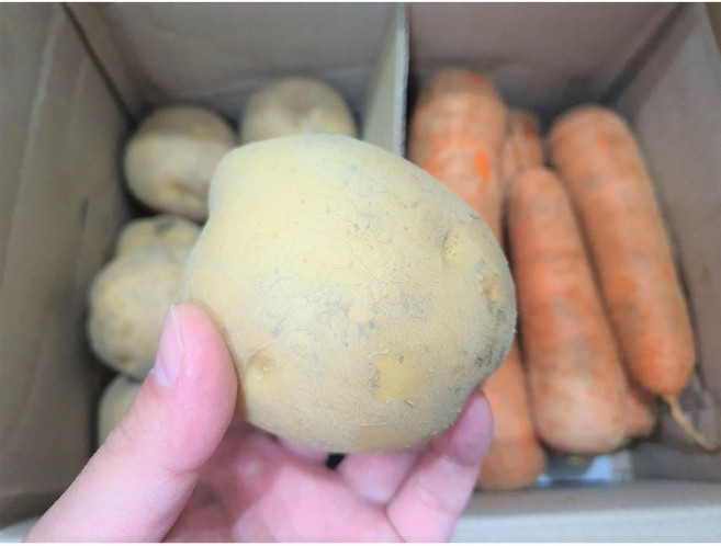 [선착순100명 한정특가!] 가락시장 당일경매 감자 수미감자 햇감자 3kg 5kg 10kg, 1개, 중, 수미감자 3kg