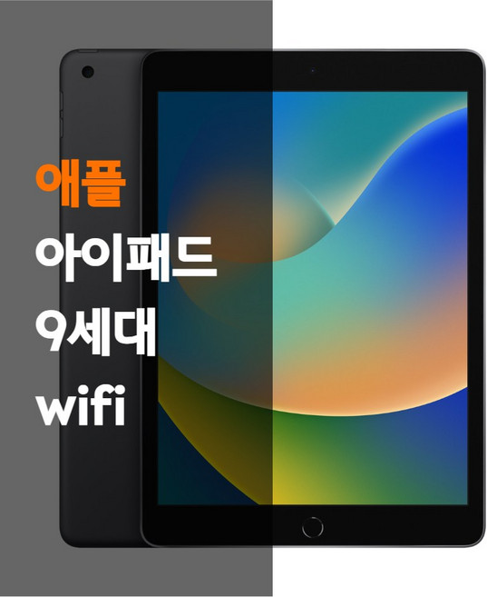아이패드 9세대 WiFi, Wi-Fi, 256GB, 랜덤