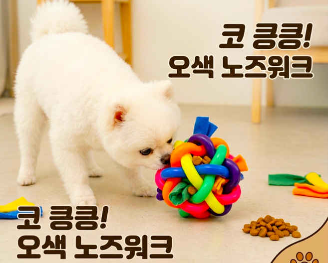 플로우 강아지 장난감 볼 원형 노즈워크 간식 장난감 간식볼 1개, 무지개색