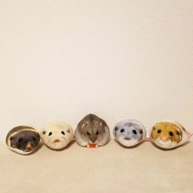 SHservice 햄스터인형 애착 봉제 봉제인형 귀여운 랜덤 스타일 1개 햄스터 캡슐, 캡슐 상품 판매 후 교환  불가