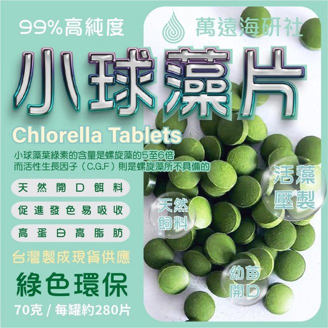 萬遠海研社 99%純小球藻片 觀賞魚 觀賞蝦 蘇螺 底棲魚 鬍子 大凡魚苗開口素食飼料, 1個, 小球藻片 70克 / 罐 x 3入