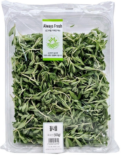 국내산 돌나물, 500g, 1개