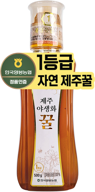 한국양봉농협 제주 야생화 꿀, 1개, 500g