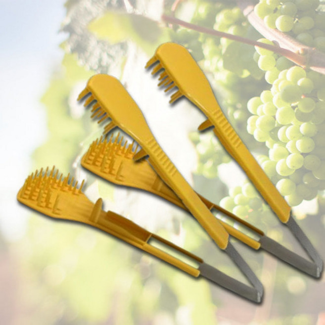 포도 송이 알솎기 포도손 알속기 꽃 화수정형 2개