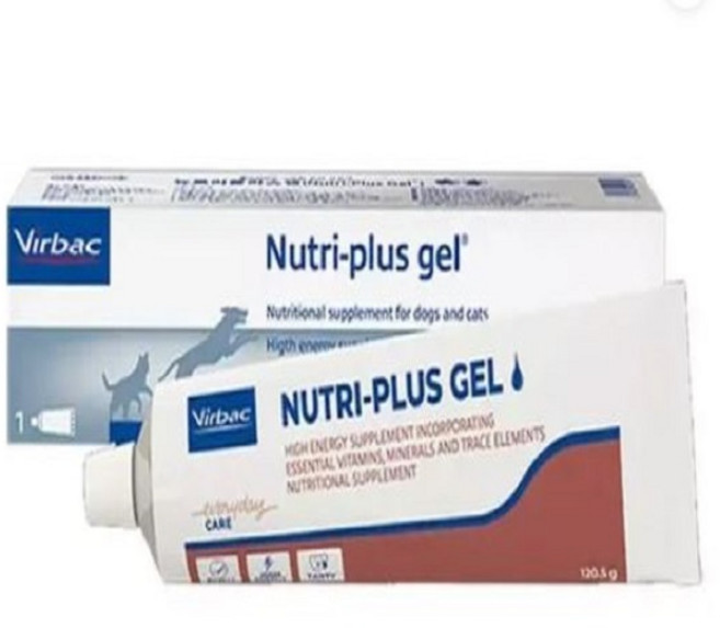버박 반려동물 뉴트리플러스겔 영양제, 120.5g, 종합영양제, 1개