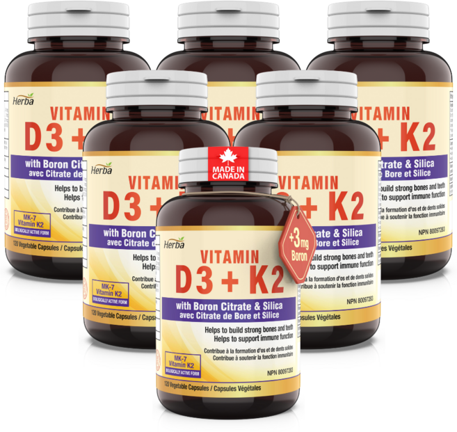 비타민K2 D3 MK-7 120식물성캡슐 1000IU 120mcg 메나퀴논-7 보론 실리카 포함 허바 캐나다, 120정, 6개