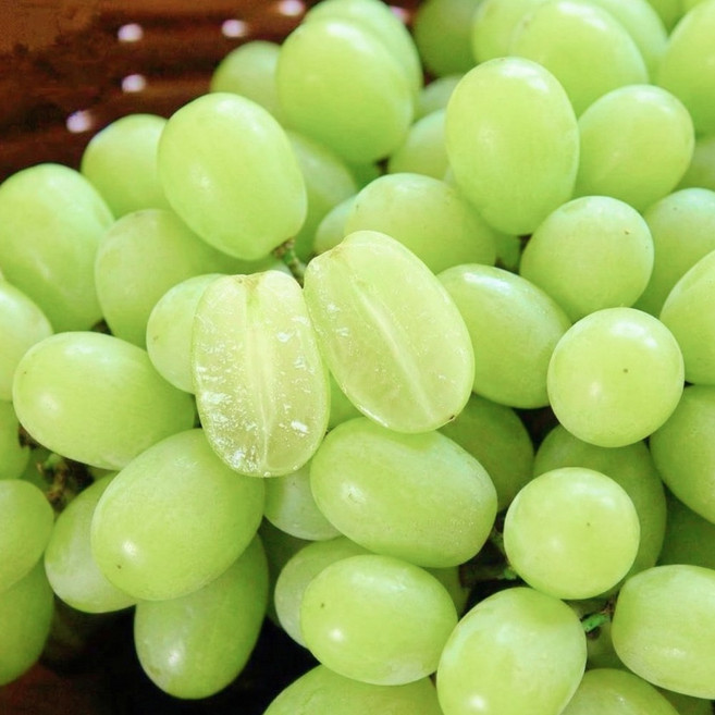 [타임특가]20Brix 씨없는 오톰크리스피 애플청포도, 1개, 500g (특품)