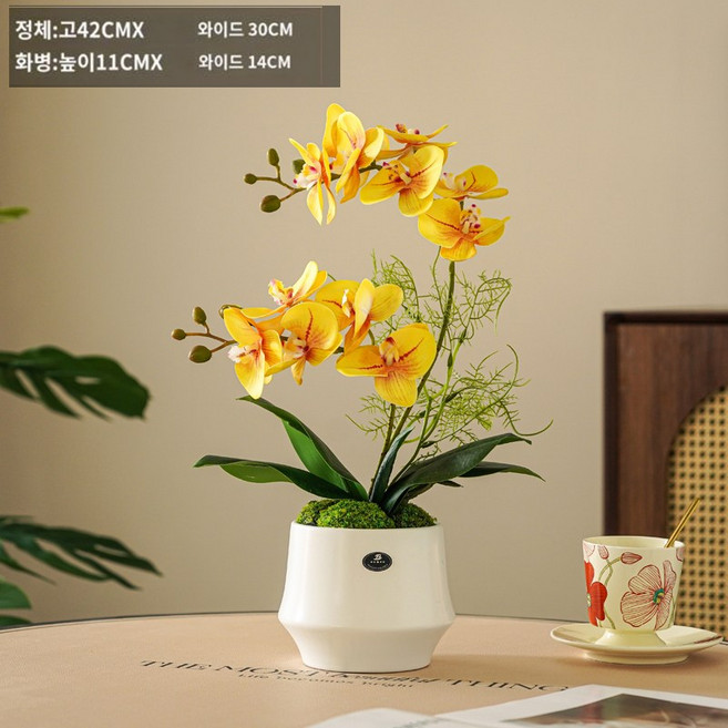 대성 호접란 인테리어 조화 화분 세트, HP40, 1개
