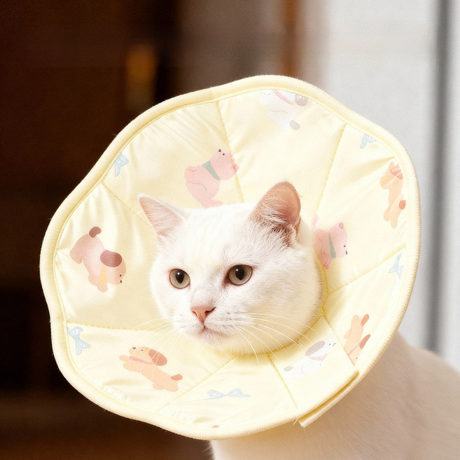 반려동물 방수 중성화 핥기 방지 넥카라, 노란색, 1개