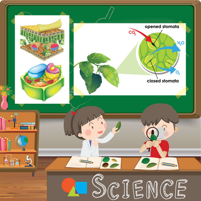 3학년이 꼭 해봐야 할 실험 11종 2025년 / 초등과학실험 교과서 필수실험 모음