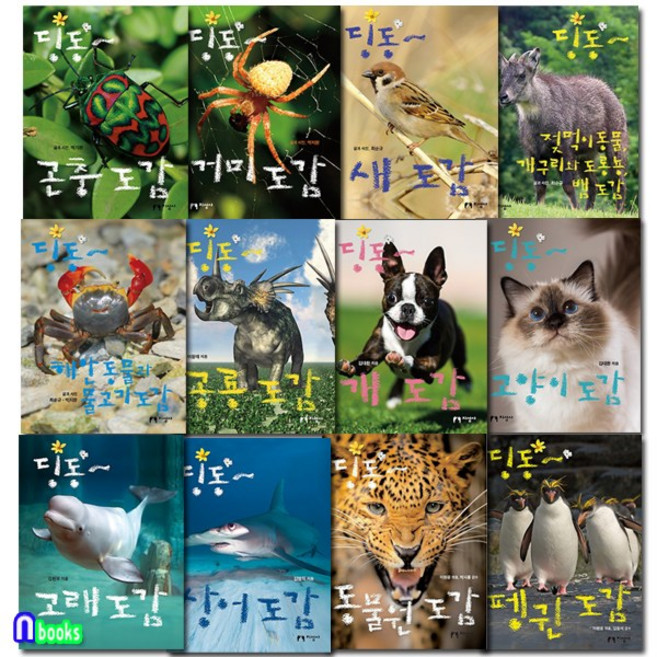 지성사 생생한 사진과 아이의 눈높이에 맞춘 딩동 도감 세트(전12권) 곤충도감.펭귄도감.공룡도감.거미도감.새도감.뱀도감.물고기도감.고양이.개도감.고래.상어.동물원도감, 단품없음