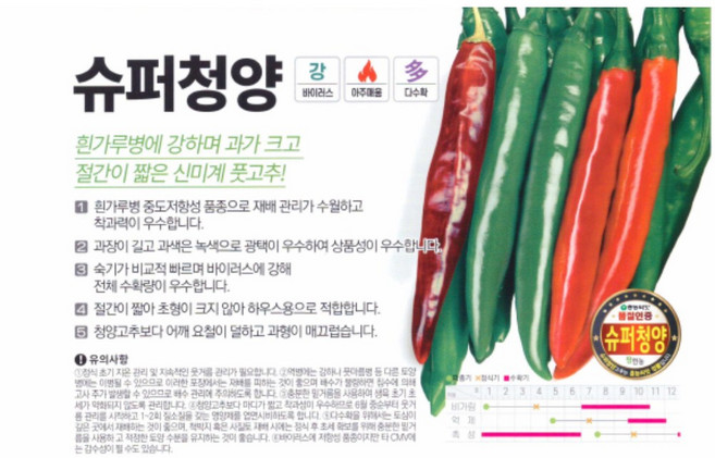 슈퍼청양 고추 씨앗 1200립 팜한농 흥농 더강한청양 종자 흰가루병 내병계 식물나라스토어, 1개