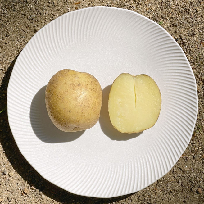 25년 수확 국내산 제철 햇 수미감자 햇감자, 1박스, 5kg(중과/알감자-개별중량 40-70g내외)