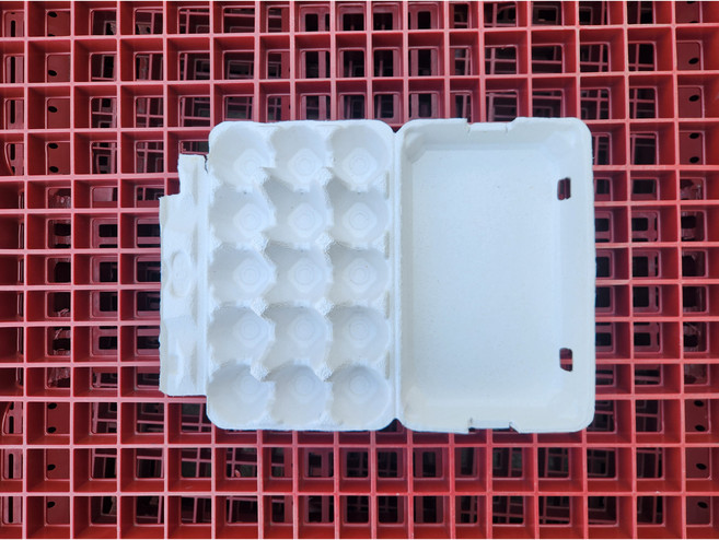 백색 15구 계란판 (밀폐형) 100개