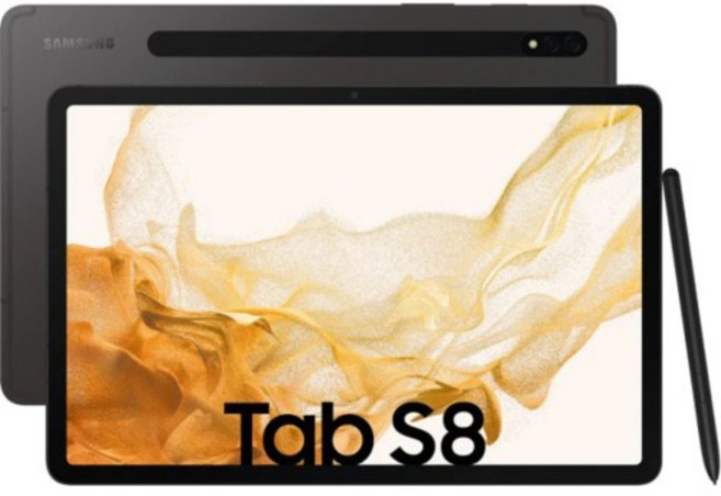 삼성전자 갤럭시탭 S8 SM-X700, 그래파이트, 256GB, Wi-Fi+Cellular
