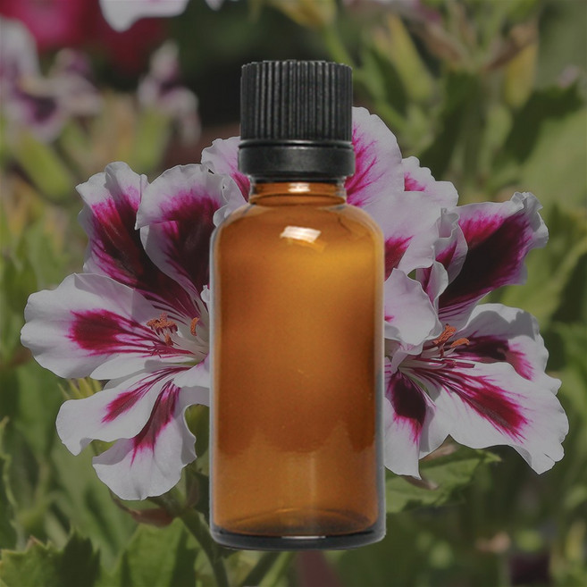 프랑스 나티바 유기농 제라늄 에센셜 오일 100ml, 1개, 단일