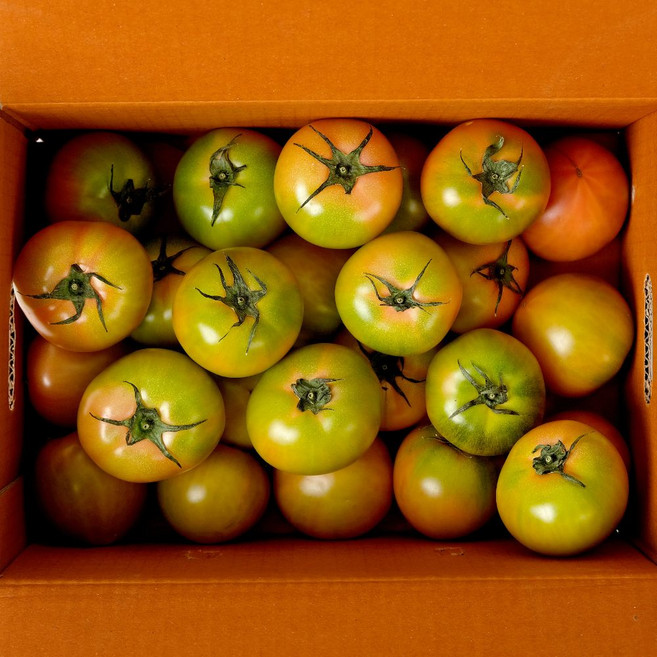 맛통령 부산 대저토마토 짭짤이토마토, 1개, 대저토마토 로얄과(S-3S) 2.5kg