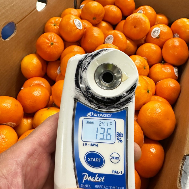 [실중량출고] 고당도 만다린 감귤 미국산 만다린귤 [NPU], 1박스, 만다린 2kg