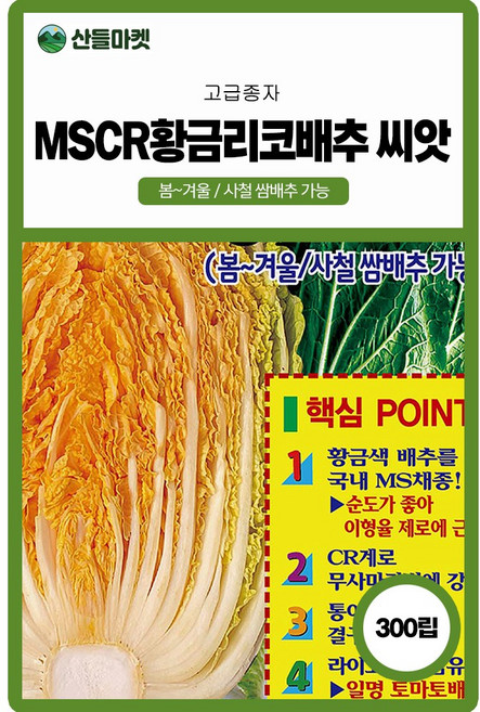 산들마켓 MS CR황금리코 배추씨앗 300립 라이코펜 함유 생리장해 강한 국내산 황금배추씨 종자, 2개