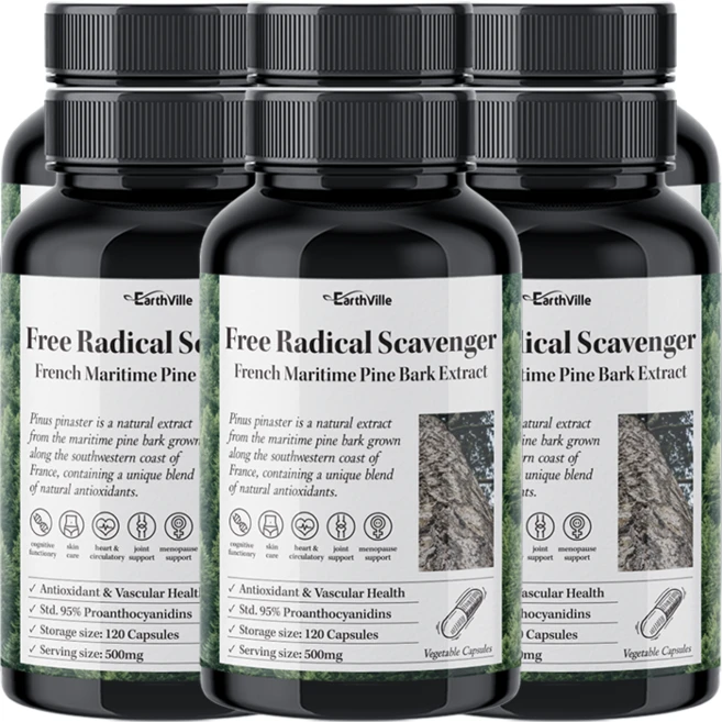 어스빌 프랑스해안송소나무껍질 추출물 500mg 프로안토시아니딘 폴리페놀 베지캡슐, 120정, 6개 - 쿠팡