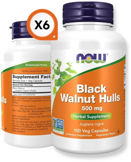 나우푸드 6개 흑 호두 껍질 500mg 100 베지 캡슐 블랙 추출 저글란 니그라, 6팩, 100정 - 쿠팡