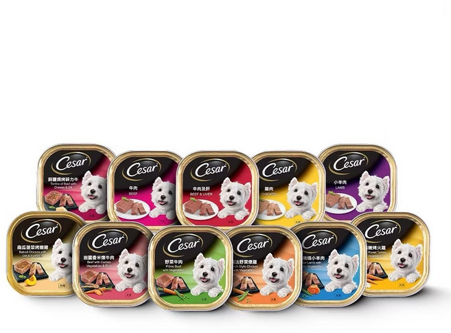 Cesar 西莎 犬餐盒 熟齡犬系列 自然素材系列, 100g, 24個, 牛肉