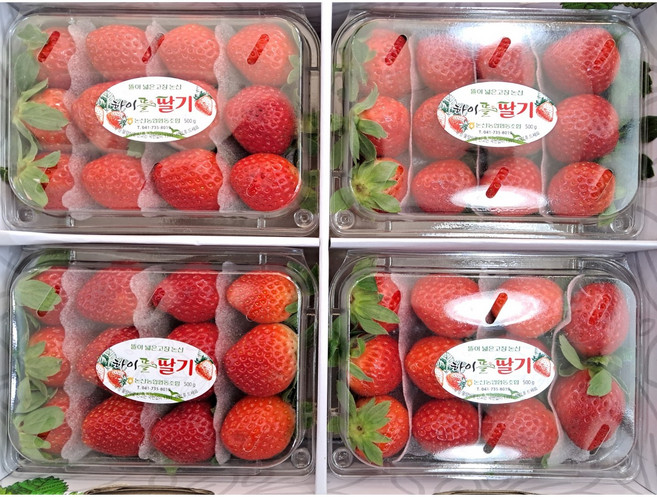 (과일천국1번지) 새콤달콤한 햇 생 딸기(3*4) 500g*4팩, 1개