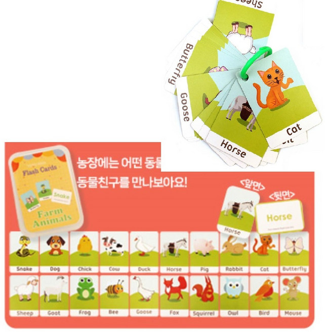 케이스 고리 간편보관 색깔 영어 단어 키즈카드 조카선물 단어카드 어린이집교구 추천, 농장, 1개