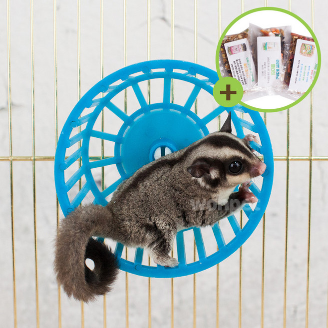 소동물 쳇바퀴 미니 다람쥐바퀴 햄스터 슈가글라이더, 1개